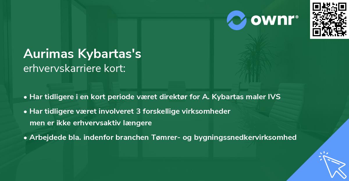 Aurimas Kybartas's erhvervskarriere kort