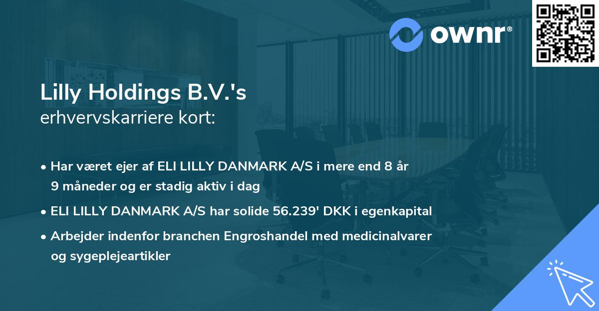 Lilly Holdings B.V.'s erhvervskarriere kort