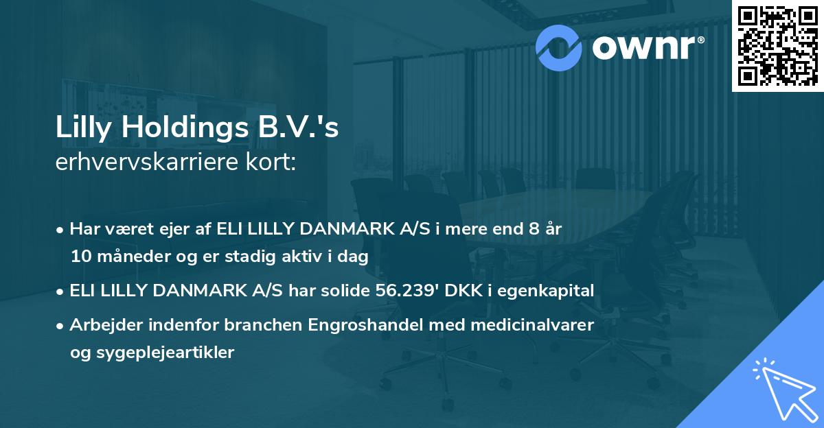 Lilly Holdings B.V.'s erhvervskarriere kort