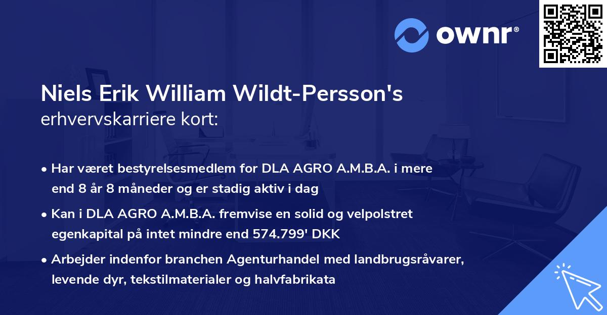 Niels Erik William Wildt-Persson's erhvervskarriere kort