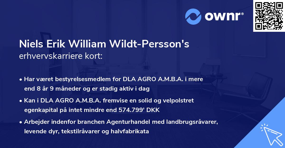 Niels Erik William Wildt-Persson's erhvervskarriere kort