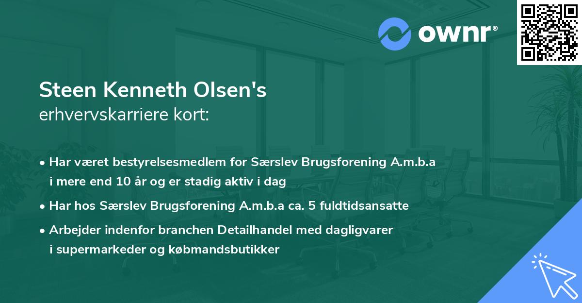 Steen Kenneth Olsen's erhvervskarriere kort