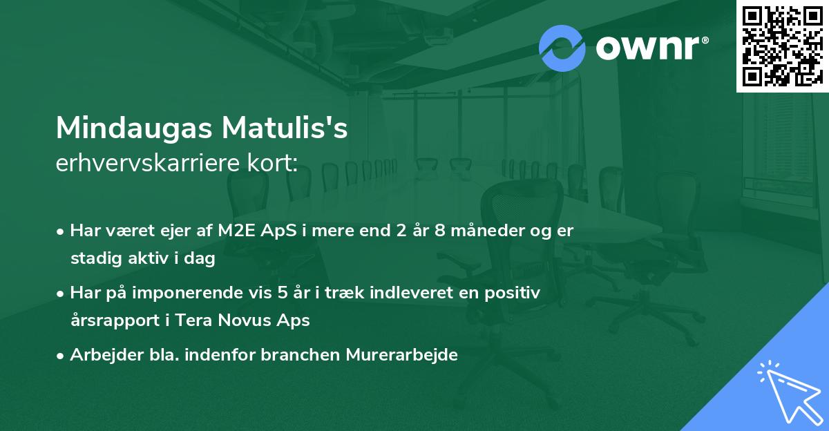 Mindaugas Matulis's erhvervskarriere kort