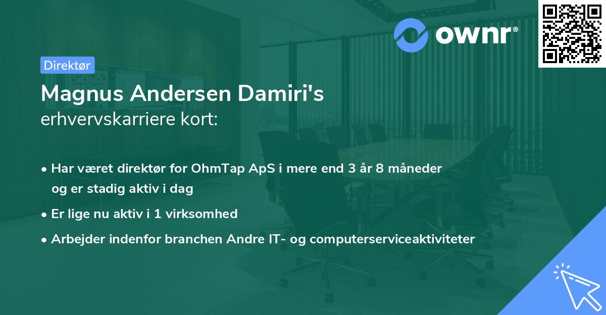 Magnus Andersen Damiri's erhvervskarriere kort
