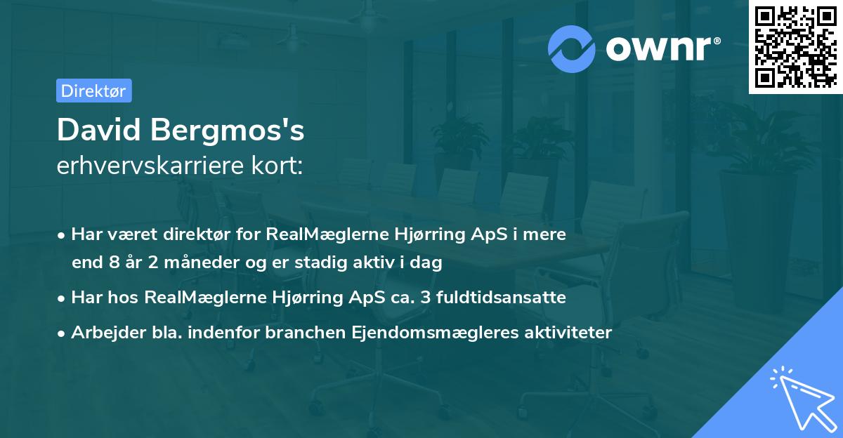 David Bergmos's erhvervskarriere kort