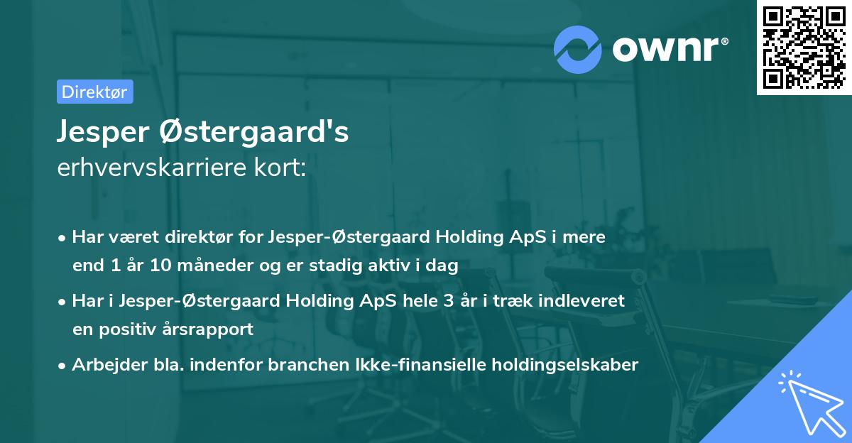 Jesper Østergaard's erhvervskarriere kort