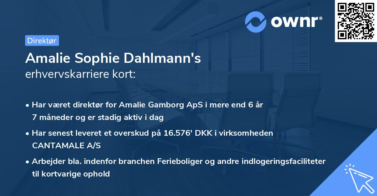 Amalie Sophie Dahlmann's erhvervskarriere kort