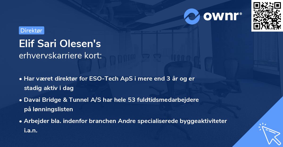 Elif Sari Olesen's erhvervskarriere kort