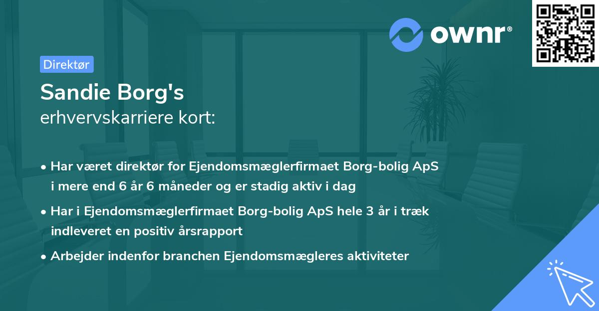 Sandie Borg's erhvervskarriere kort