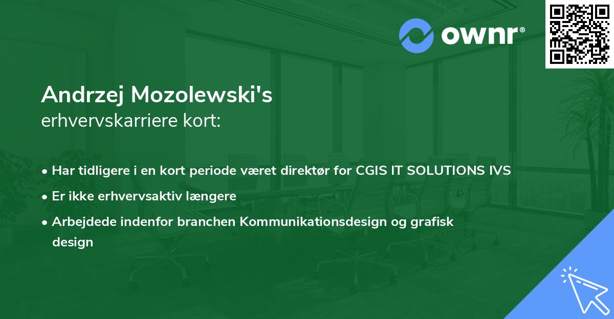 Andrzej Mozolewski's erhvervskarriere kort