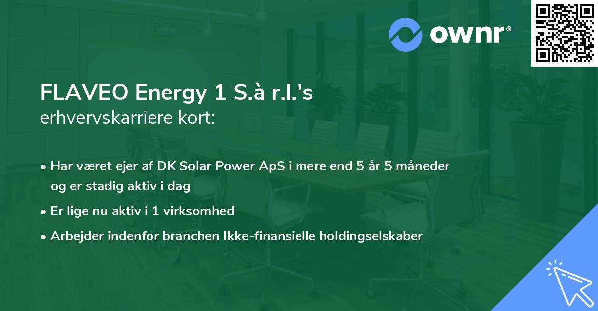 FLAVEO Energy 1 S.à r.l.'s erhvervskarriere kort