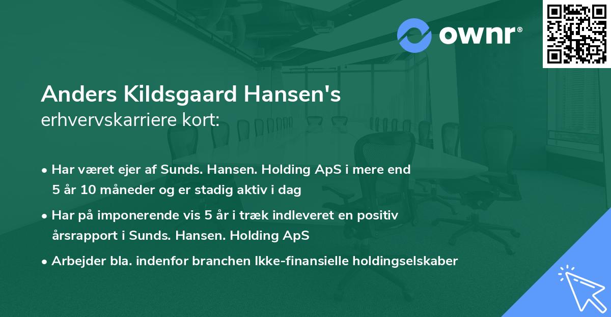 Anders Kildsgaard Hansen's erhvervskarriere kort