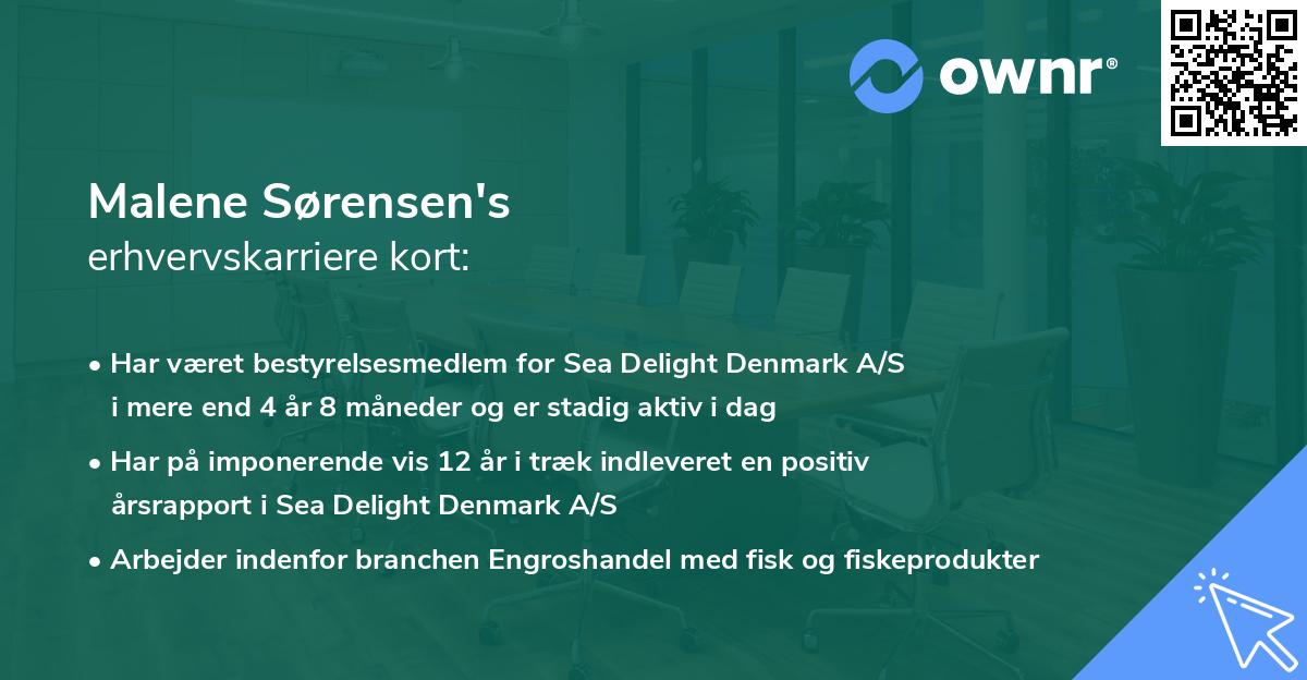 Malene Sørensen's erhvervskarriere kort