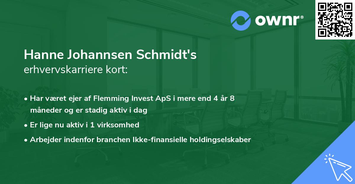 Hanne Johannsen Schmidt's erhvervskarriere kort