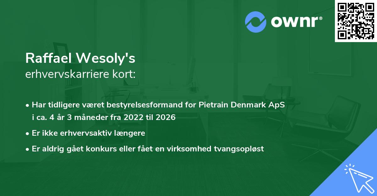 Raffael Wesoly's erhvervskarriere kort