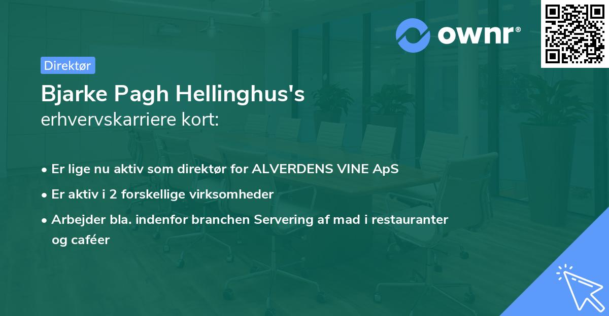 Bjarke Pagh Hellinghus's erhvervskarriere kort