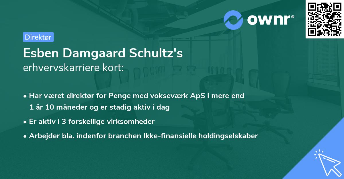 Esben Damgaard Schultz's erhvervskarriere kort