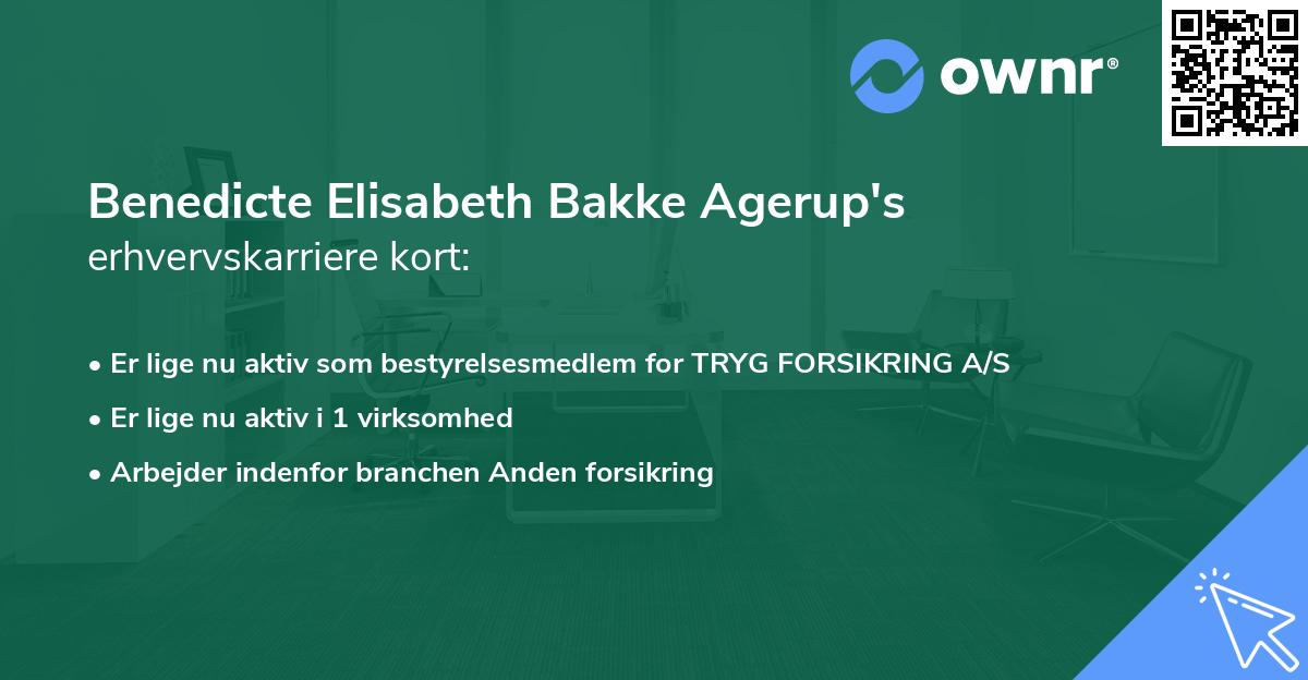 Benedicte Elisabeth Bakke Agerup's erhvervskarriere kort