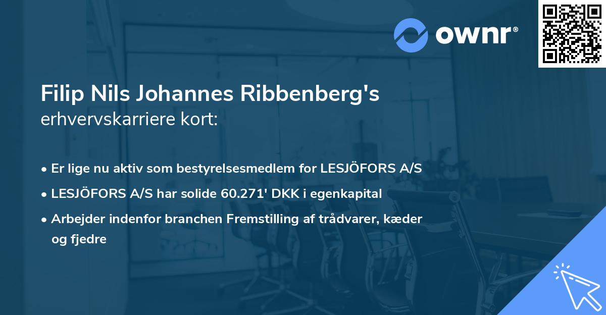 Filip Nils Johannes Ribbenberg's erhvervskarriere kort