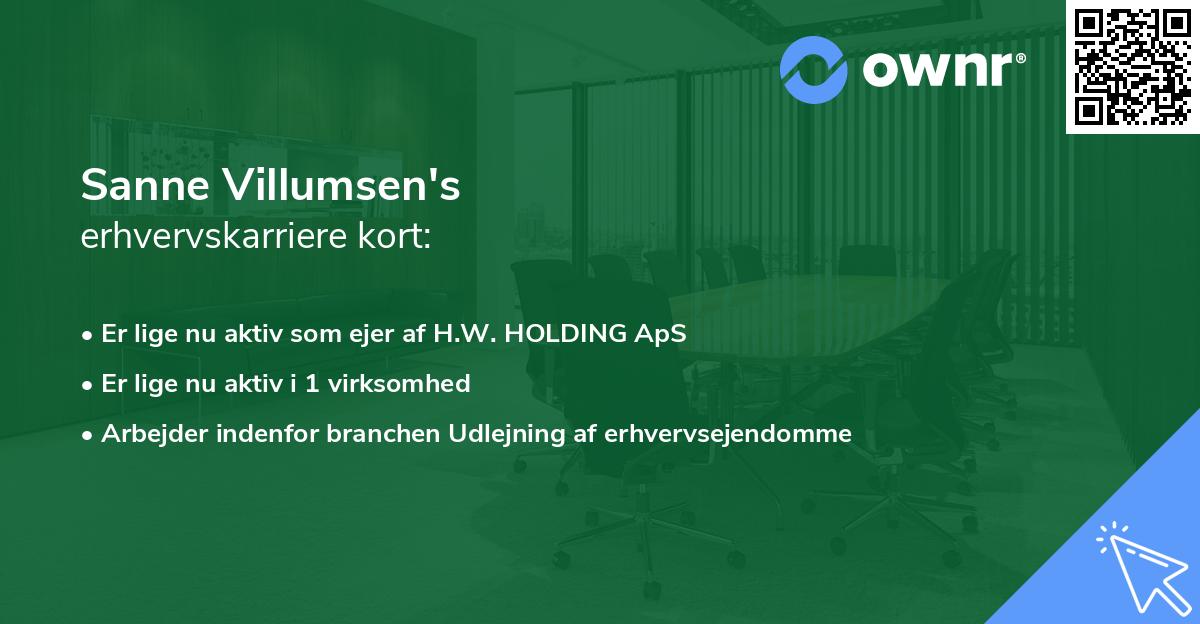 Sanne Villumsen's erhvervskarriere kort