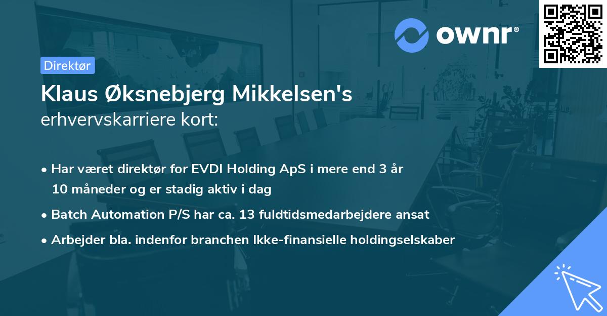 Klaus Øksnebjerg Mikkelsen's erhvervskarriere kort