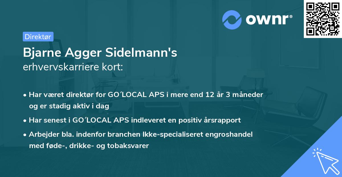 Bjarne Agger Sidelmann's erhvervskarriere kort