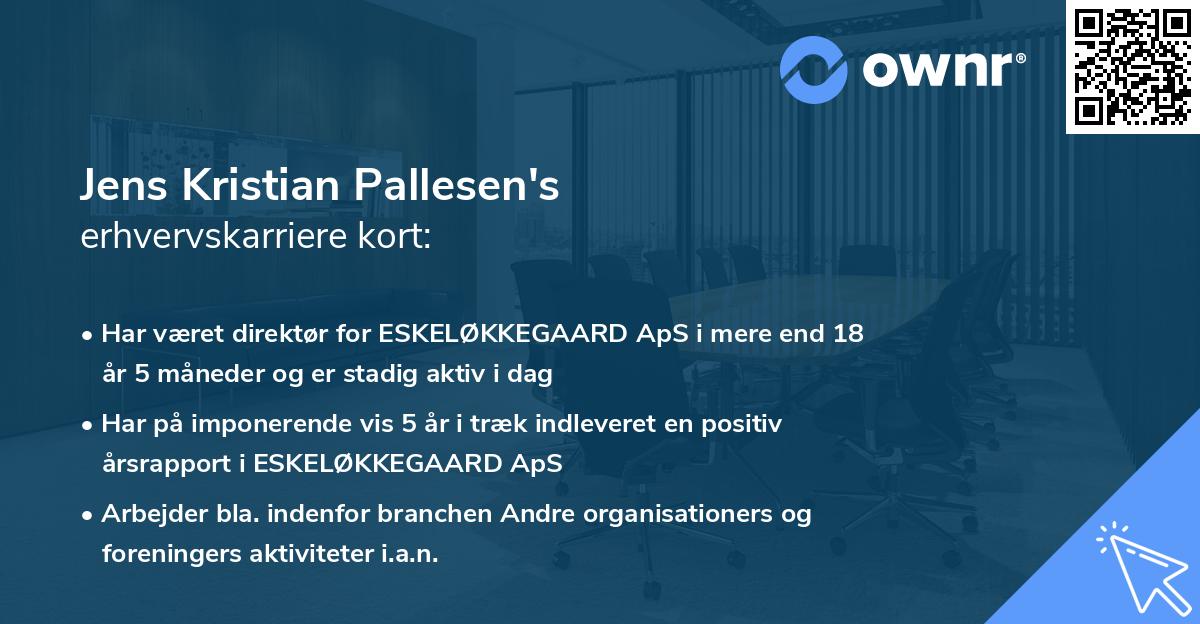Jens Kristian Pallesen's erhvervskarriere kort