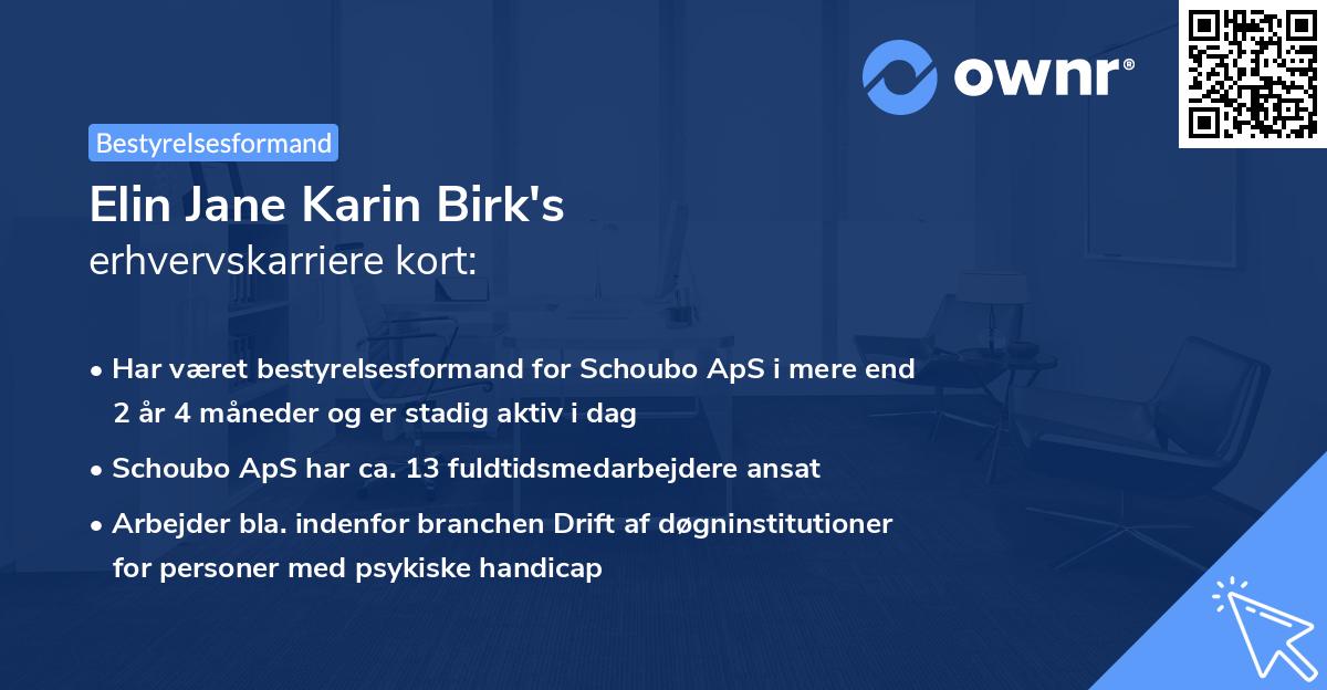 Elin Jane Karin Birk's erhvervskarriere kort