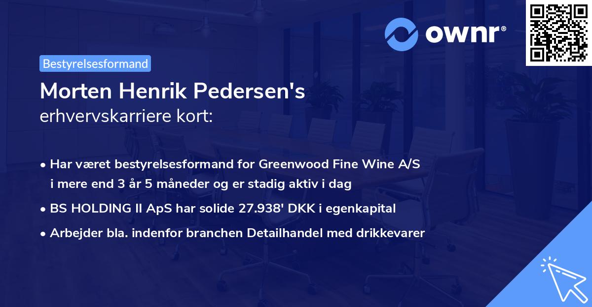 Morten Henrik Pedersen's erhvervskarriere kort