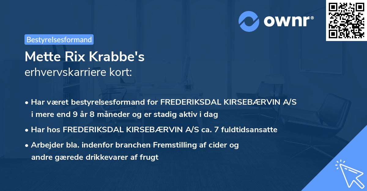 Mette Rix Krabbe's erhvervskarriere kort