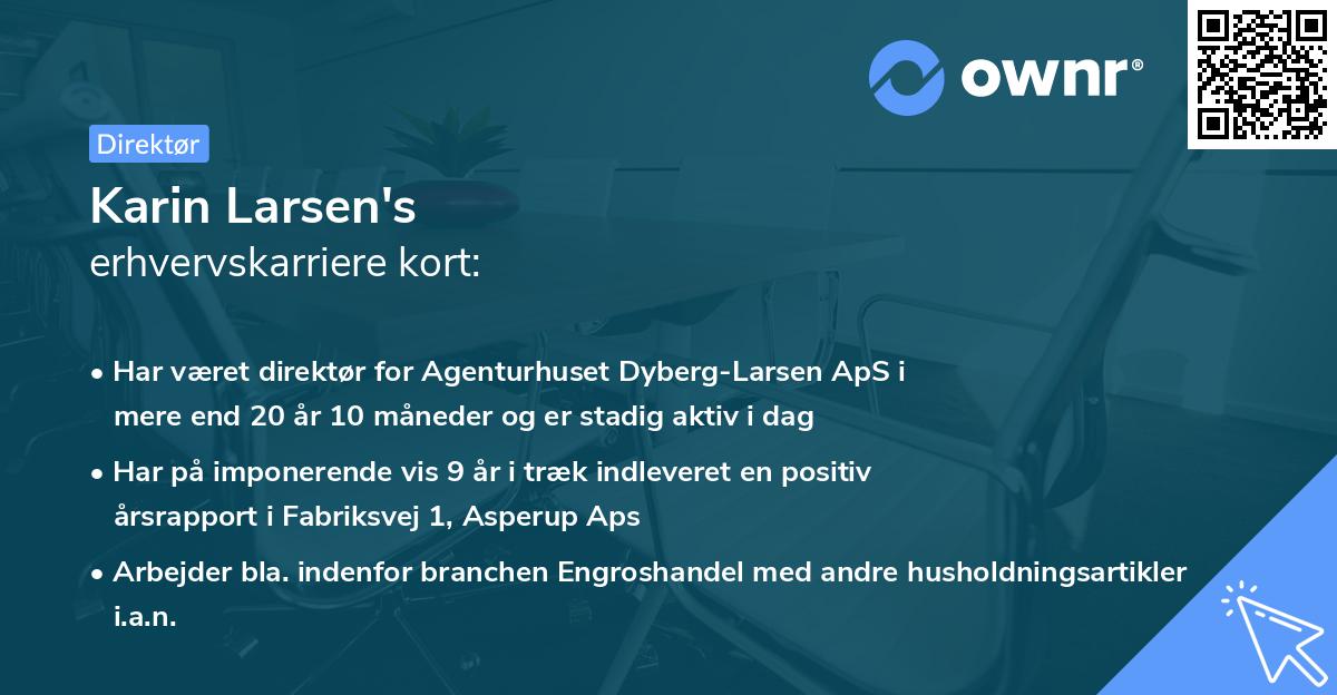 Karin Larsen's erhvervskarriere kort