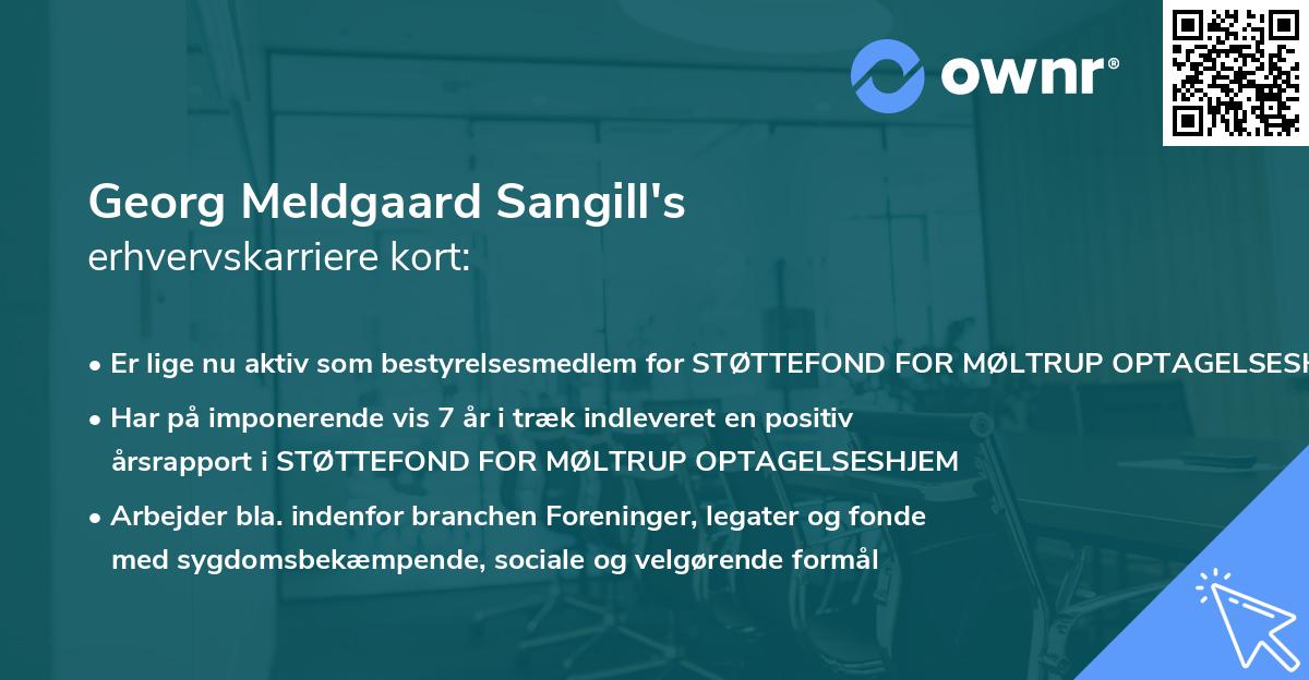 Georg Meldgaard Sangill's erhvervskarriere kort