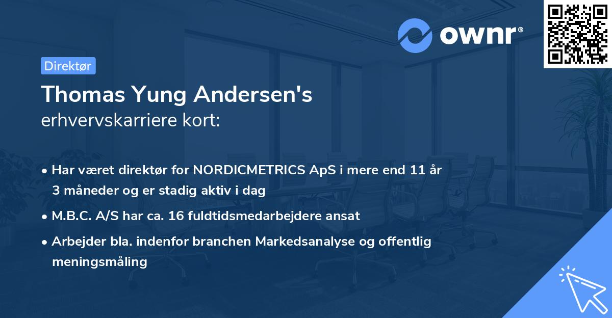 Thomas Yung Andersen's erhvervskarriere kort