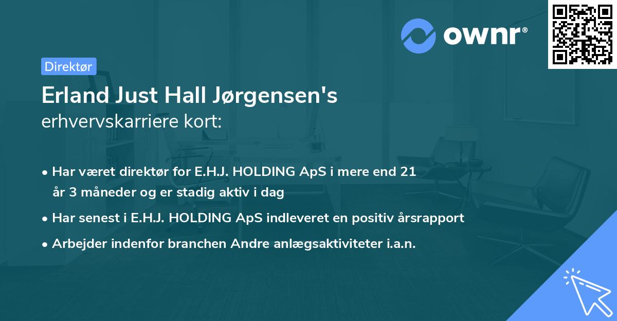 Erland Just Hall Jørgensen's erhvervskarriere kort