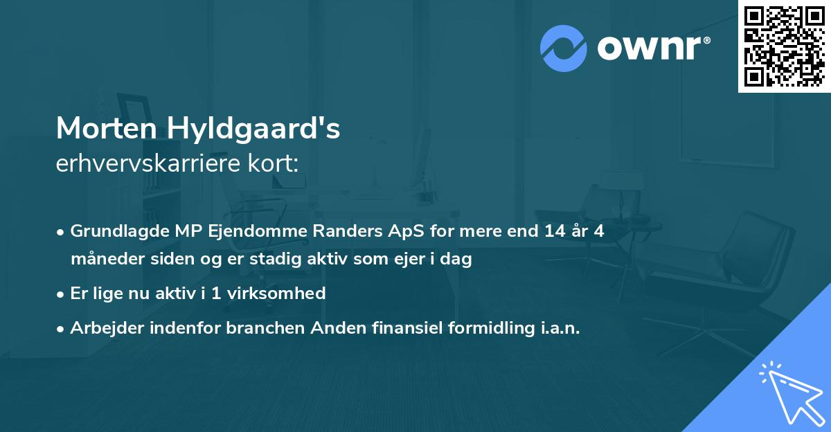 Morten Hyldgaard's erhvervskarriere kort