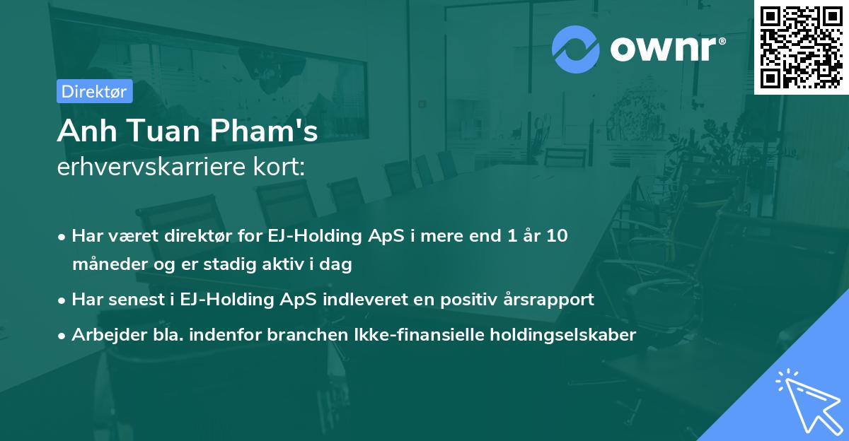 Anh Tuan Pham's erhvervskarriere kort