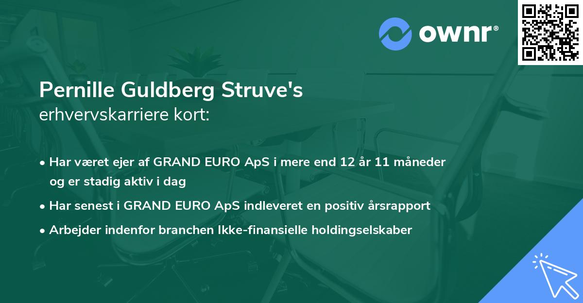 Pernille Guldberg Struve's erhvervskarriere kort