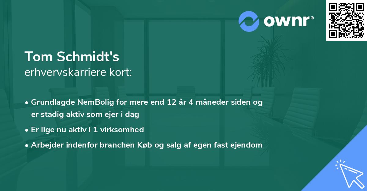 Tom Schmidt's erhvervskarriere kort