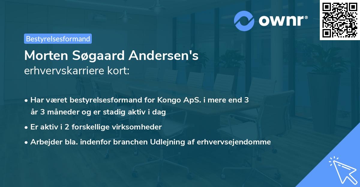 Morten Søgaard Andersen's erhvervskarriere kort