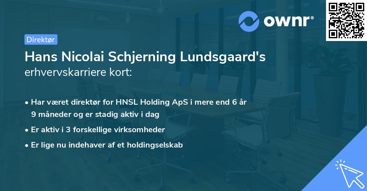 Hans Nicolai Schjerning Lundsgaard's erhvervskarriere kort