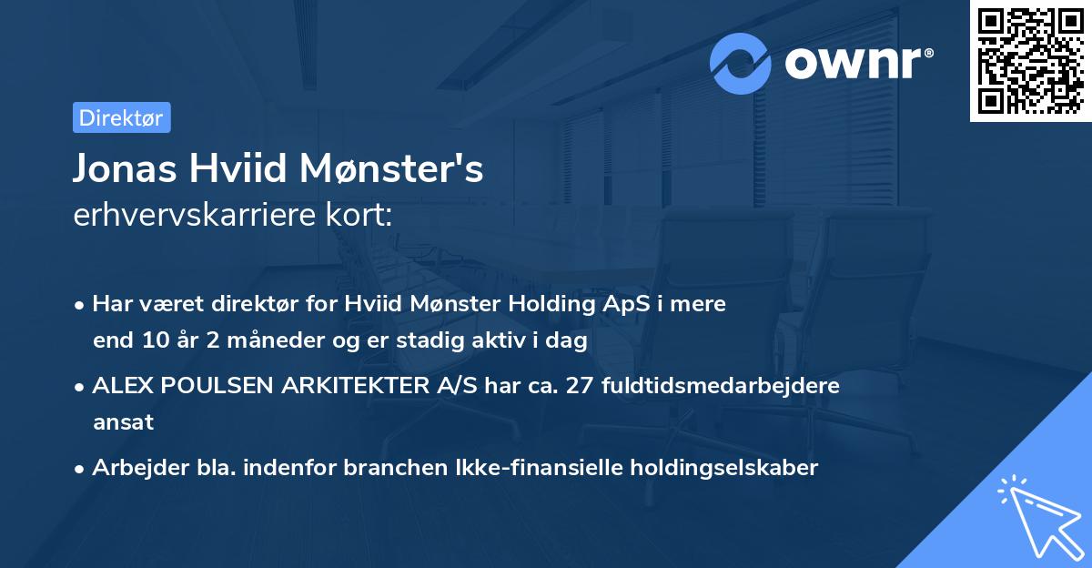 Jonas Hviid Mønster's erhvervskarriere kort