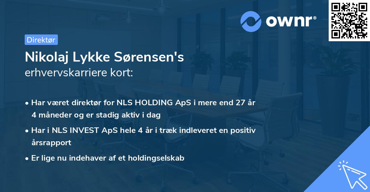 Nikolaj Lykke Sørensen's erhvervskarriere kort