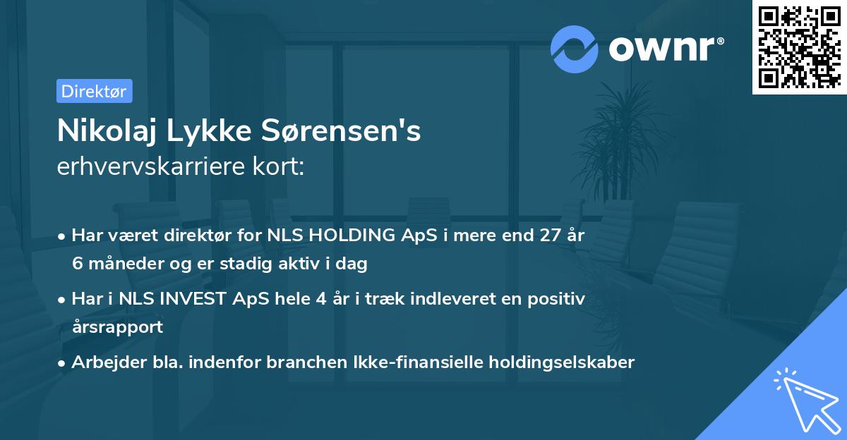 Nikolaj Lykke Sørensen's erhvervskarriere kort