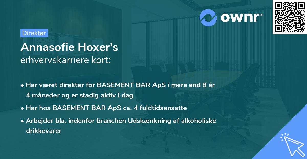 Annasofie Hoxer's erhvervskarriere kort