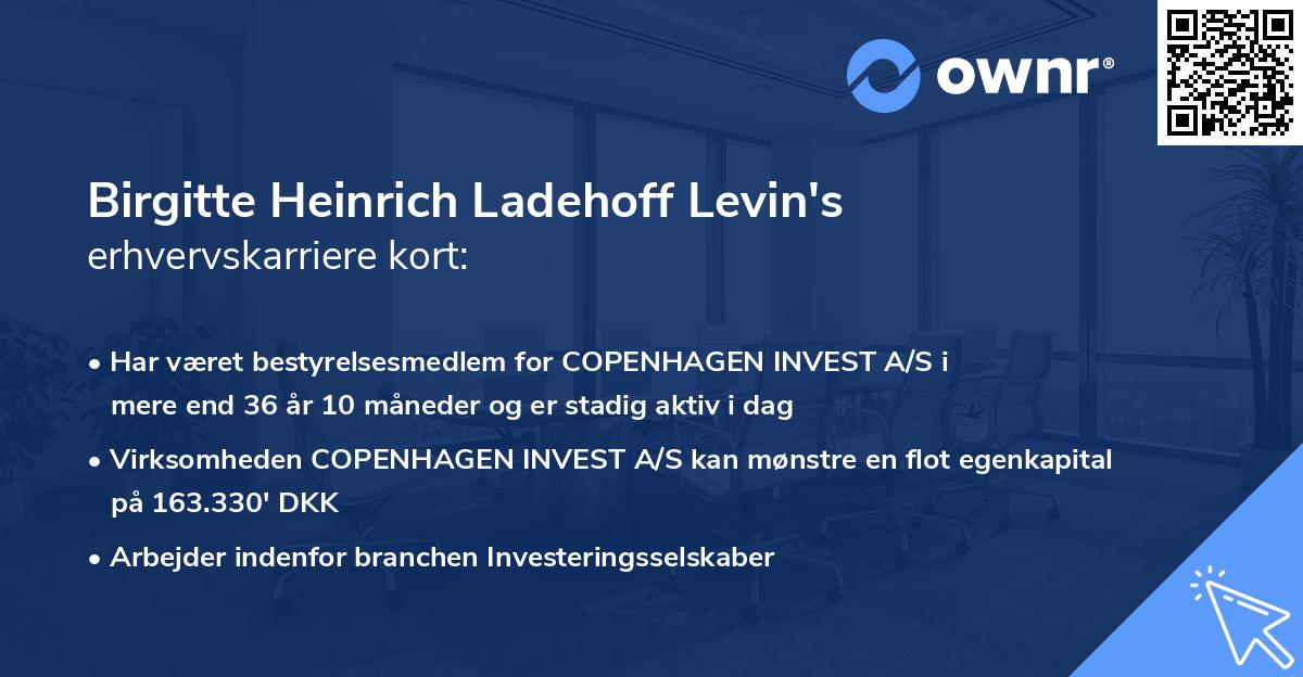 Birgitte Heinrich Ladehoff Levin's erhvervskarriere kort