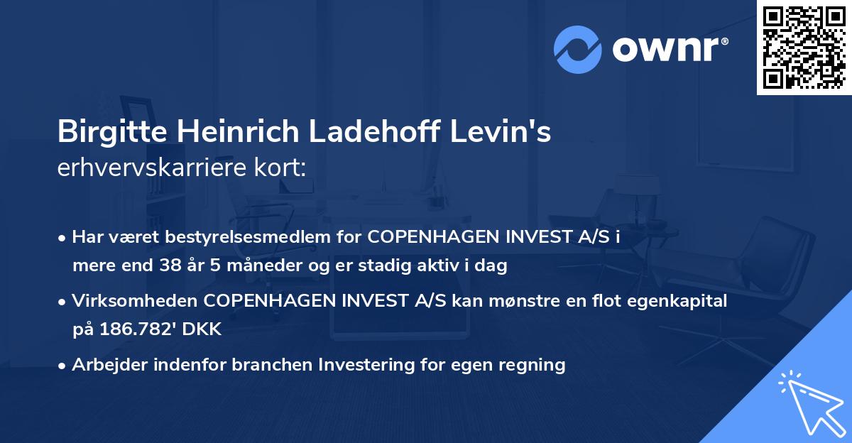 Birgitte Heinrich Ladehoff Levin's erhvervskarriere kort