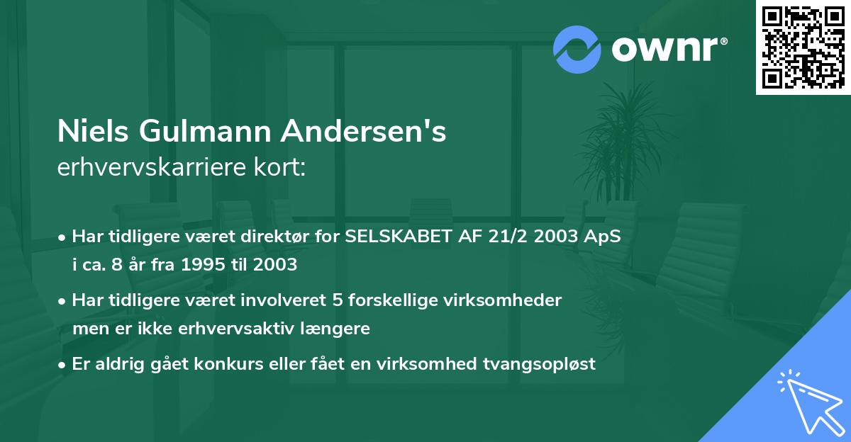 Niels Gulmann Andersen's erhvervskarriere kort