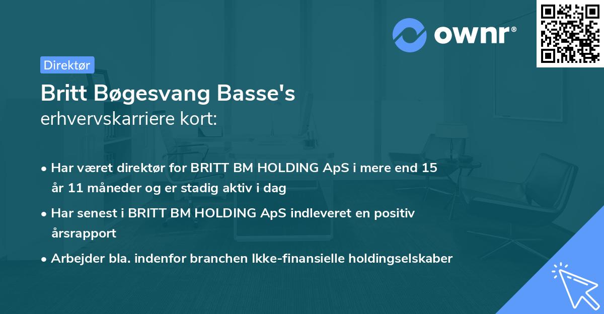 Britt Bøgesvang Basse's erhvervskarriere kort