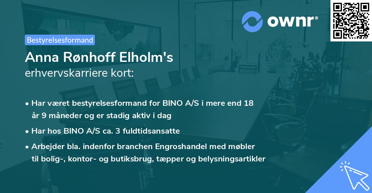 Anna Rønhoff Elholm's erhvervskarriere kort