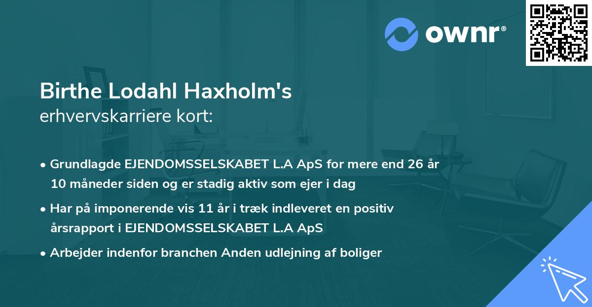 Birthe Lodahl Haxholm's erhvervskarriere kort